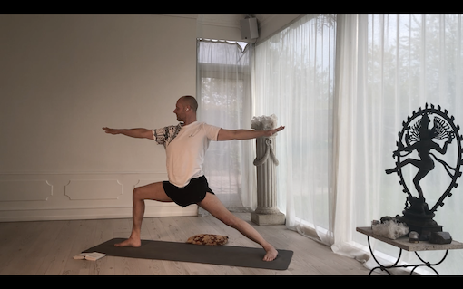 Yoga Classes Video On Demand